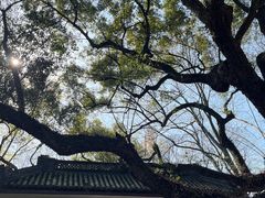 -灵顺寺