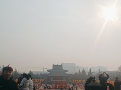 -大槐树寻根祭祖园