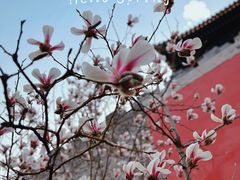 -东华门大街小区