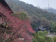 -韬光茶庵