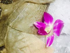 屠场鲜毛肚-蜀家渝重庆火锅(南屏街店)