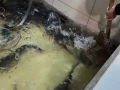 -都江堰石锅鱼