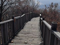 -帽儿山国家森林公园