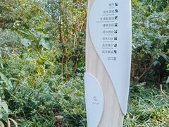 -成都市活水公园