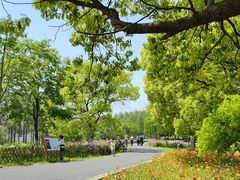 -东平国家森林公园