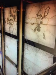 -新城花园酒店·宴会厅