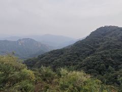 -大岭沟猕猴桃谷风景区