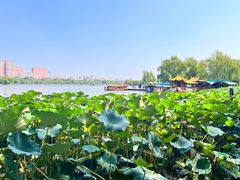 -济南大明湖景区