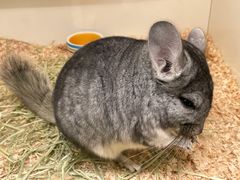 -龙猫仔乐园(惠福东路店)