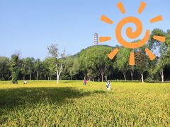 -北坞公园