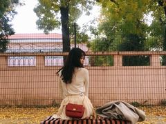 -三里屯东五街银杏大道