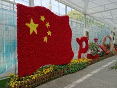-上海鲜花港