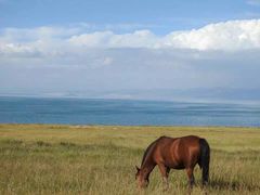 -青海湖国家重点风景名胜区