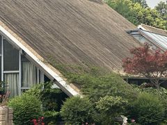 -老房子金沙元年川菜食府·花园餐厅(金沙店)