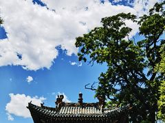 -迎泽公园