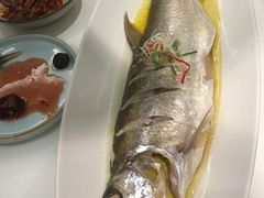 长江蒸白鱼-苏帮袁Sue Cuisine(将台店)