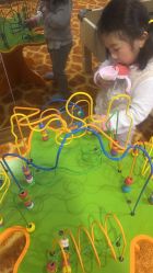 -卡通尼·Safari非洲探索乐园·生日会(金桥国际商业广场店)