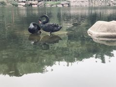 -两江国际影视城