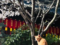 -龙华寺