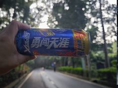 -东莞市大岭山森林公园