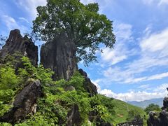 -玉石林风景区
