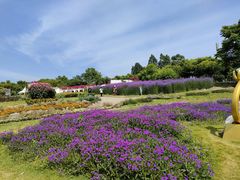 -紫颐香薰山谷景区