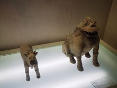 -岳阳市博物馆