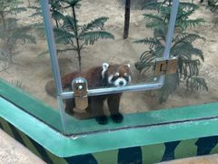 -石家庄市动物园