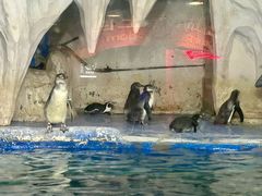 -太平洋海底世界