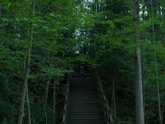 -凤栖山