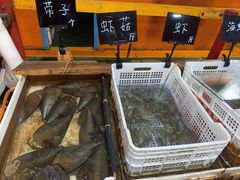 -罗源湾8号渔排