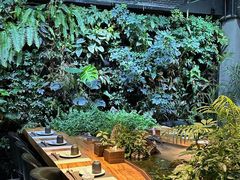 -森味薪火烧•烧鸟居酒屋•日本料理(望京店)