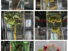 -广东中医药博物馆