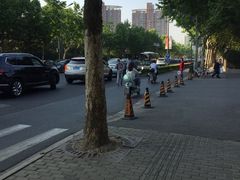 -上海市实验学校