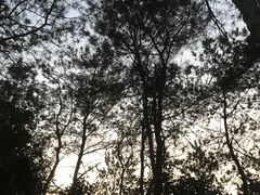 -天目湖涵田半山温泉