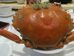 -中南酒店(人民大道中店)
