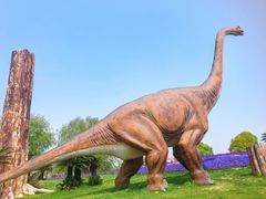 -南通洲际绿博园