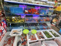 -曲阳花鸟市场(曲阳路店)