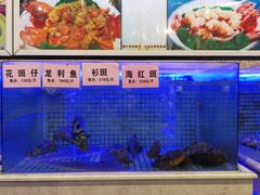 -东方御宴海鲜酒楼(棕泉酒店)