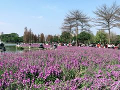 -顺峰山公园