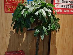 -和庆斋羊蝎子火锅·碳缸烧烤(顺义旗舰店)