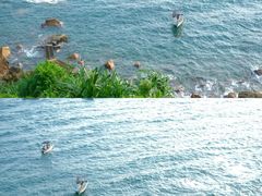 -玫瑰海岸文化旅游度假区
