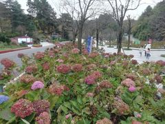 -阿哈湖国家湿地公园