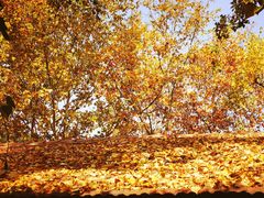 -西安电影制片厂