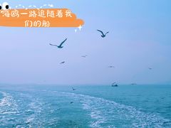 -广鹿岛景区