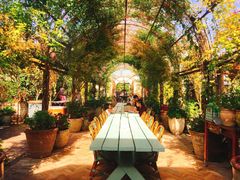 景观位-The Grounds of Alexandria