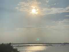 -大湾区中央湿地公园-十九涌