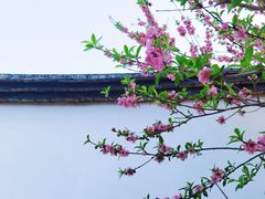 -乌山风景区