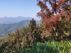 -广州市石门国家森林公园
