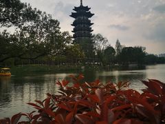 -洋湖国家湿地公园